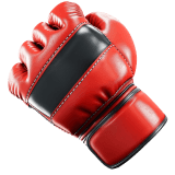 MMA Fighting icon